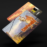 Carte usb